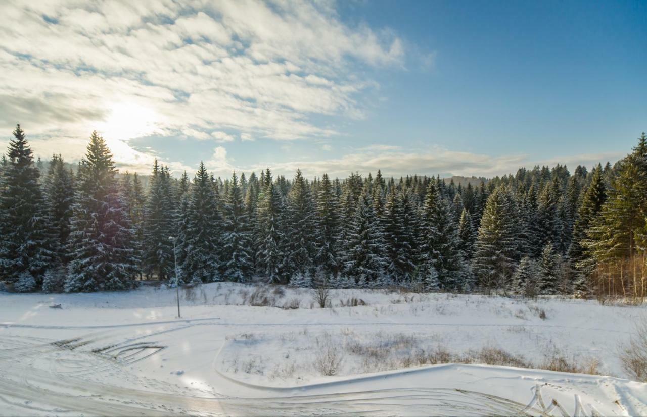 Timber View Apartment Silver Mountain Poiana Brasov Exterior foto